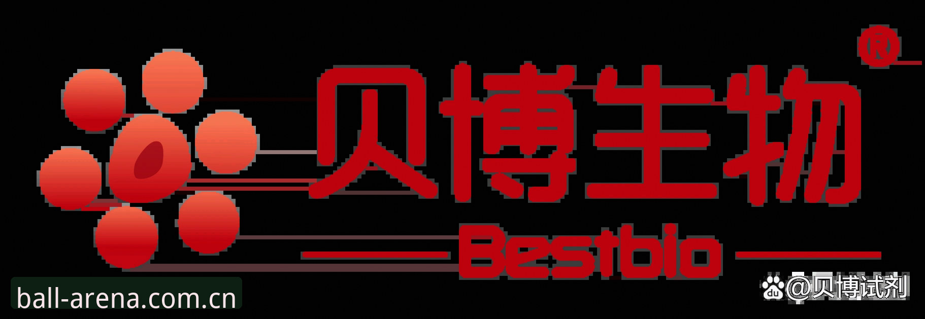 贝博官网平台深度分析：贝博APP怎么样？从功能体验到使用教程全面解析